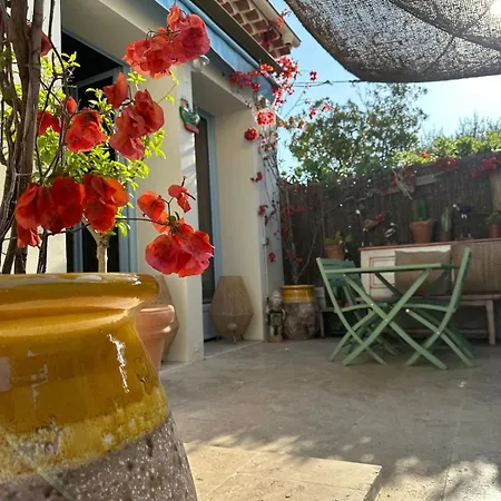 Magnifique Maison De Pecheur Face A La *